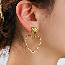 Day &amp; Eve by Go Dutch stainless steel oorbellen wrapped heart E4380-2