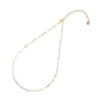 Ketting stainless steel gold N1863-2