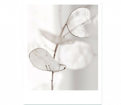 Interieurposter Forex polaroid pure 30x22 cm