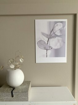 Interieurposter Forex polaroid pure 30x22 cm