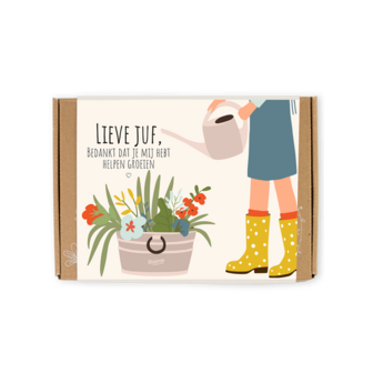 Blossombs bloem bommetjes - giftbox lieve juf