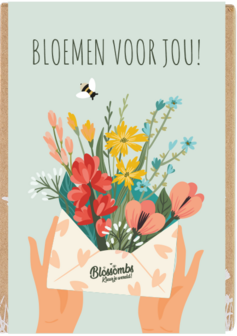 Blossombs bloem bommetjes - eierdoosje bloemen voor jou