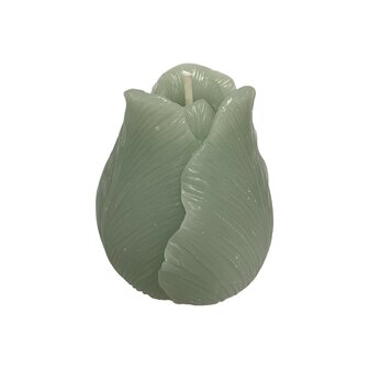 Kaars tulp celadon