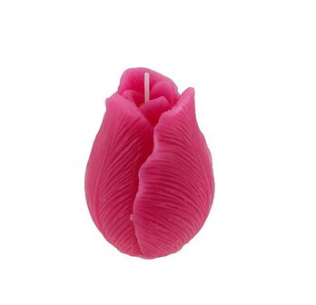 Kaars tulp fuchsia roze