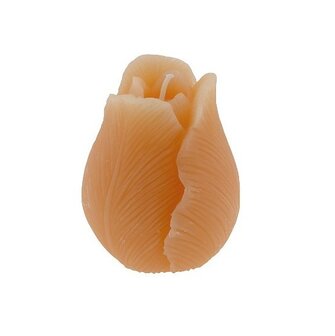 Kaars tulp fuchsia peach