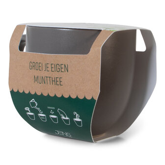 Mok - groei je eigen muntthee
