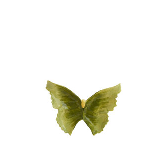 Schaaltje vlinder groen-geel