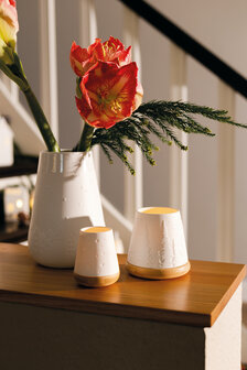 R&auml;der poetry lantern forest