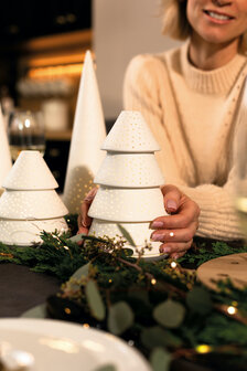 R&auml;der fir light large