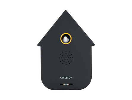 Sound box modern cuckoo black