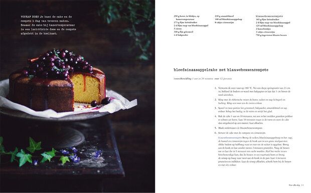 Kookboek prachtige taarten & cakes