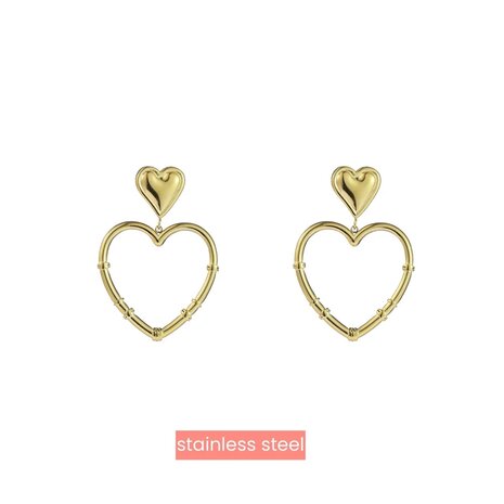 Day & Eve by Go Dutch stainless steel oorbellen wrapped heart E4380-2