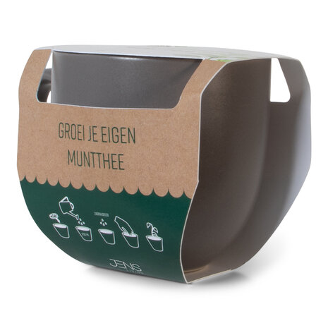 Mok - groei je eigen muntthee