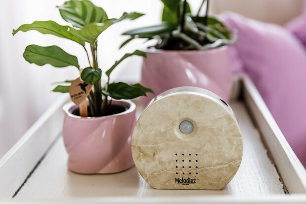 Melodiez natuurgeluiden box natuursteen