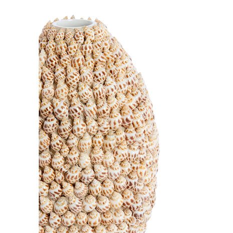 Vaas shell bruin, creme *ALLEEN AFHALEN MOGELIJK*