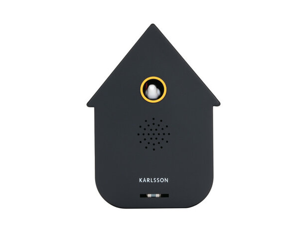 Sound box modern cuckoo black