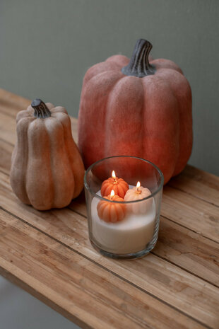 Kaars pumpkin in geschenkverpakking